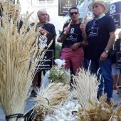 Agricultores y ganaderos piden más protección