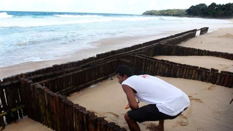 Cient&iacute;ficos alertan del impacto de la subida del nivel del mar en zonas costeras