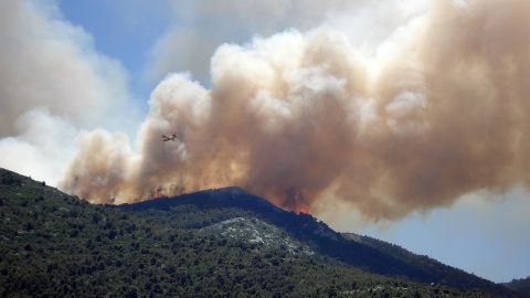7.791 INCENDIOS FORESTALES EN 2017