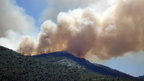 7.791 INCENDIOS FORESTALES EN 2017 7.791 INCENDIOS FORESTALES EN 2017