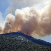 7.791 INCENDIOS FORESTALES EN 2017