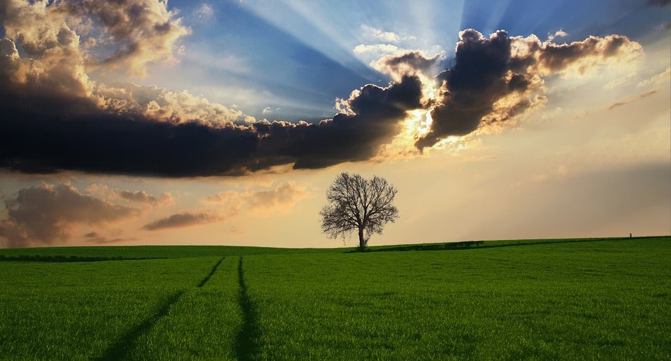 La Cultureta 5x33: ¿Hemos idealizado la naturaleza? La Cultureta 5x33: ¿Hemos idealizado la naturaleza?