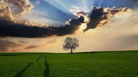 Respetar naturaleza