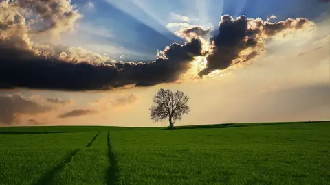 Respetar naturaleza Respetar naturaleza