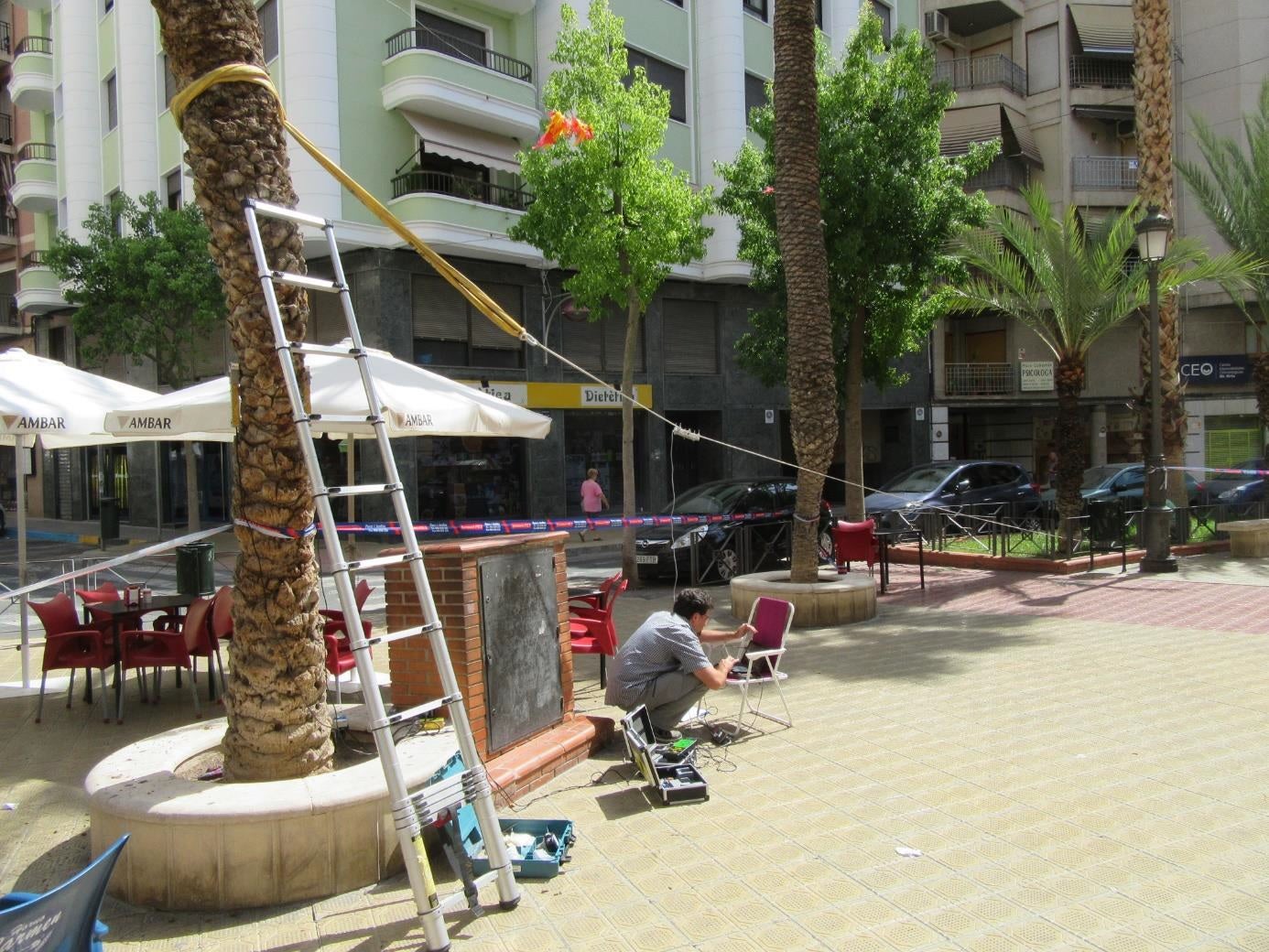 Elche estudia el riesgo de caída de las palmeras que hay en colegios y en la vía pública Elche estudia el riesgo de caída de las palmeras que hay en colegios y en la vía pública