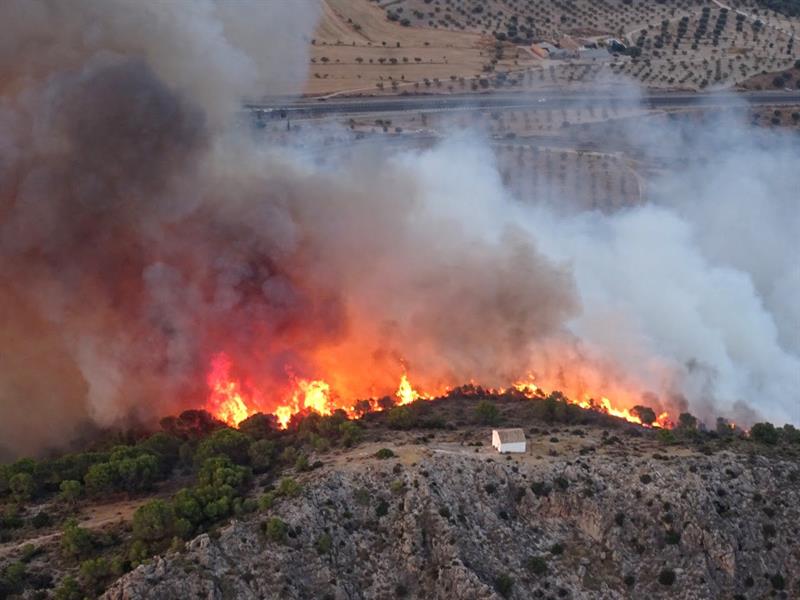Desalojan varias casas en Calasparra, Murcia, debido a un incendio forestal Desalojan varias casas en Calasparra, Murcia, debido a un incendio forestal
