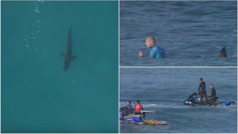 El surfista Mick Fanning escapa de nuevo de un tiburón en las aguas de Sudáfrica El surfista Mick Fanning escapa de nuevo de un tiburón en las aguas de Sudáfrica