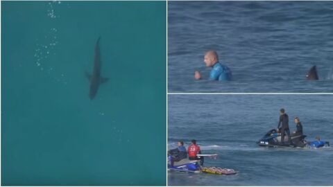 Mick Fanning, de nuevo ante un tibur&oacute;n en Sud&aacute;frica