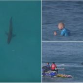 Mick Fanning, de nuevo ante un tiburón en Sudáfrica