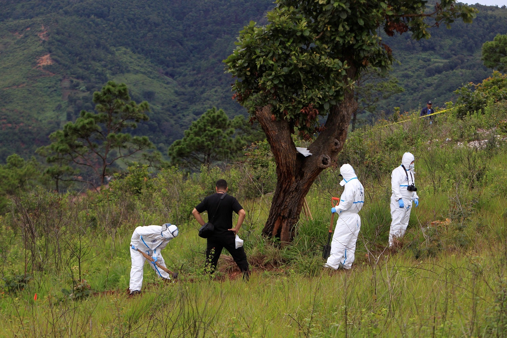 Encuentran el cadáver descuartizado de un bebé de 15 días en Honduras Encuentran el cadáver descuartizado de un bebé de 15 días en Honduras