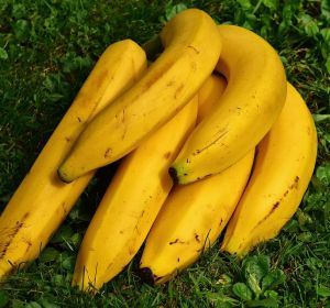 Cinco beneficios del plátano de Canarias para nuestros peques Cinco beneficios del plátano de Canarias para nuestros peques