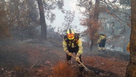 Incendio en Molinicos