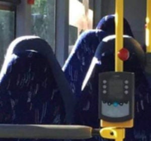 Asientos burka Asientos burka