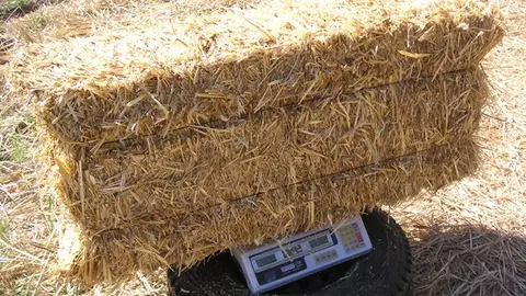 Imagen de unos fardos de paja Imagen de unos fardos de paja