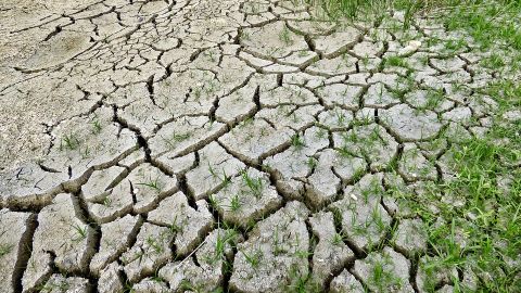 El cambio clim&aacute;tico matar&aacute; en 2100 a unas 260.000 personas