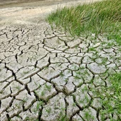 El cambio climático matará en 2100 a unas 260.000 personas El cambio climático matará en 2100 a unas 260.000 personas