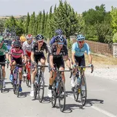 Pelotón en la Vuelta a Burgos 2017 Pelotón en la Vuelta a Burgos 2017