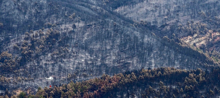 Incendio en Yeste Incendio en Yeste