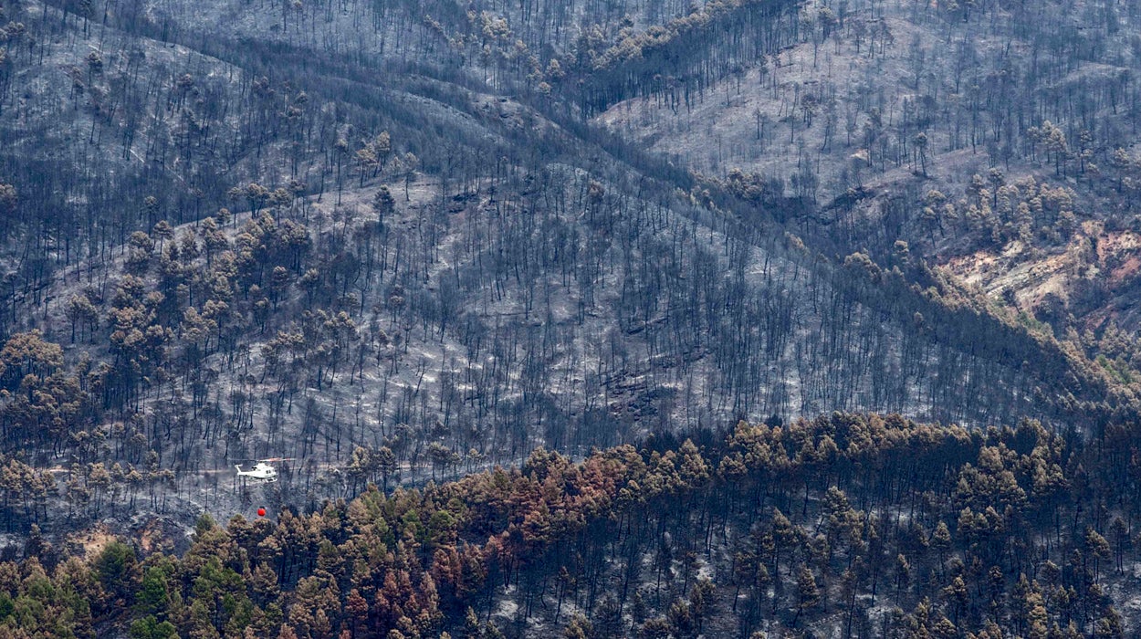 Page anuncia ayudas económicas para la promoción turística en la zona de Yeste Page anuncia ayudas económicas para la promoción turística en la zona de Yeste