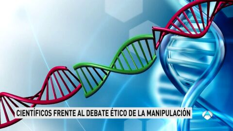 DEBATE EMBRIONES