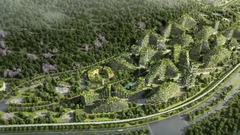 China construye la primera ciudad-bosque del mundo China construye la primera ciudad-bosque del mundo