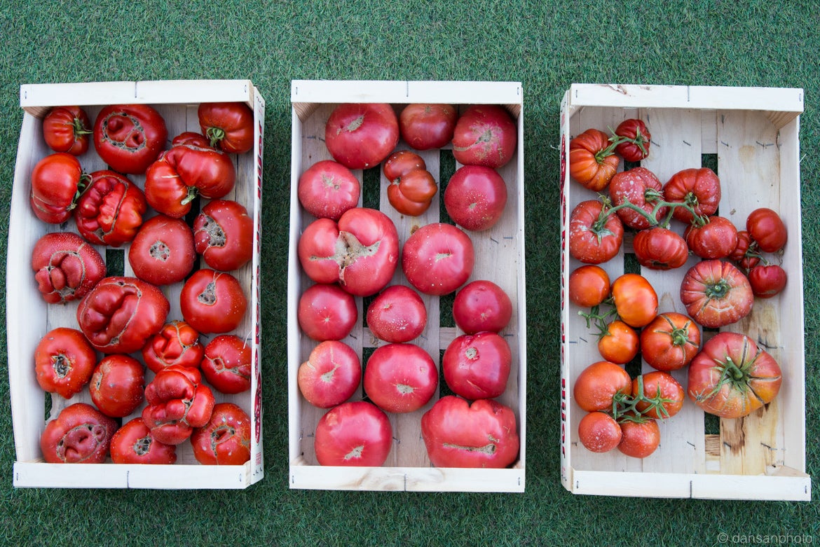 Cooperativas Agroalimentarias de Extremadura preocupadas por la huelga de transportistas piden sentido común Cooperativas Agroalimentarias de Extremadura preocupadas por la huelga de transportistas piden sentido común