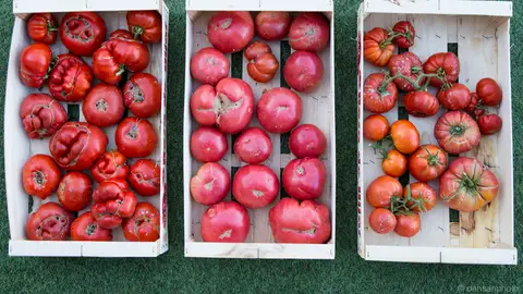 Cómo conservar los tomates más tiempo Cómo conservar los tomates más tiempo
