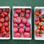 tomates_domezain