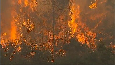En Galicia, tres de cada cuatro incendios son intencionados