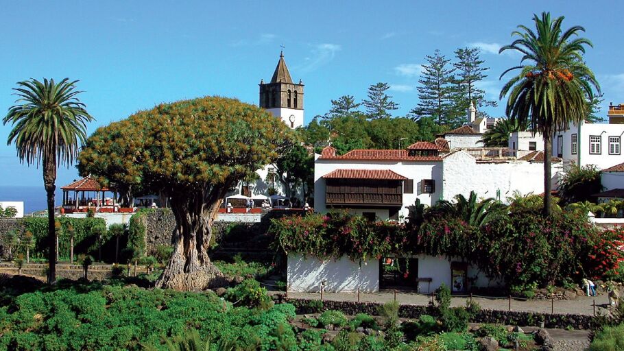 Municipio de Icod de Los Vinos, Tenerife, Islas Canarias