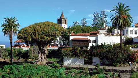 Municipio de Icod de Los Vinos, Tenerife, Islas Canarias Municipio de Icod de Los Vinos, Tenerife, Islas Canarias