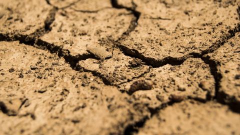 Tierra agrietada por la falta de agua