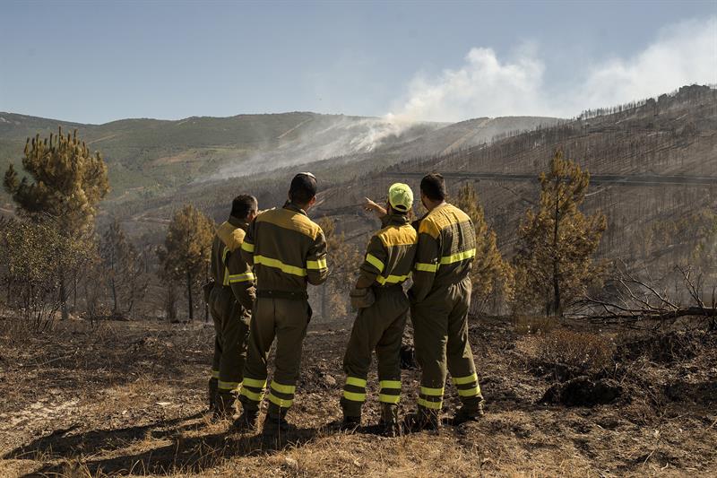 Un nuevo incendio eleva hasta 1.415 las hectáreas quemadas en Ourense Un nuevo incendio eleva hasta 1.415 las hectáreas quemadas en Ourense