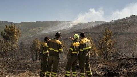 Unos brigadistas observan la superficie calcinada en Ourense