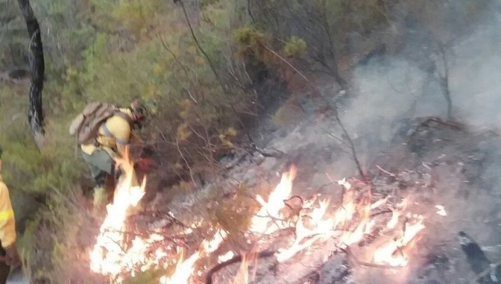 Bomberos intentan sofocar el incendio en Jaén