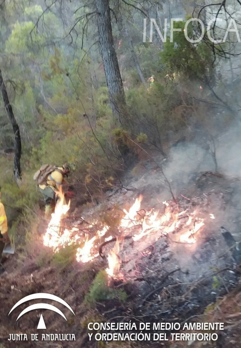 Intentan perimetrar incendio en zona de valor ecológico de Segura de la Sierra Intentan perimetrar incendio en zona de valor ecológico de Segura de la Sierra