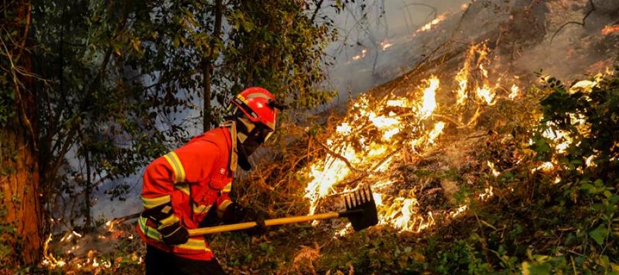 Bombero portugués en las labores de extinción Bombero portugués en las labores de extinción