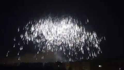 La Palmera de la Virgen pone fin a la Nit de l'Alb&agrave; de Elche