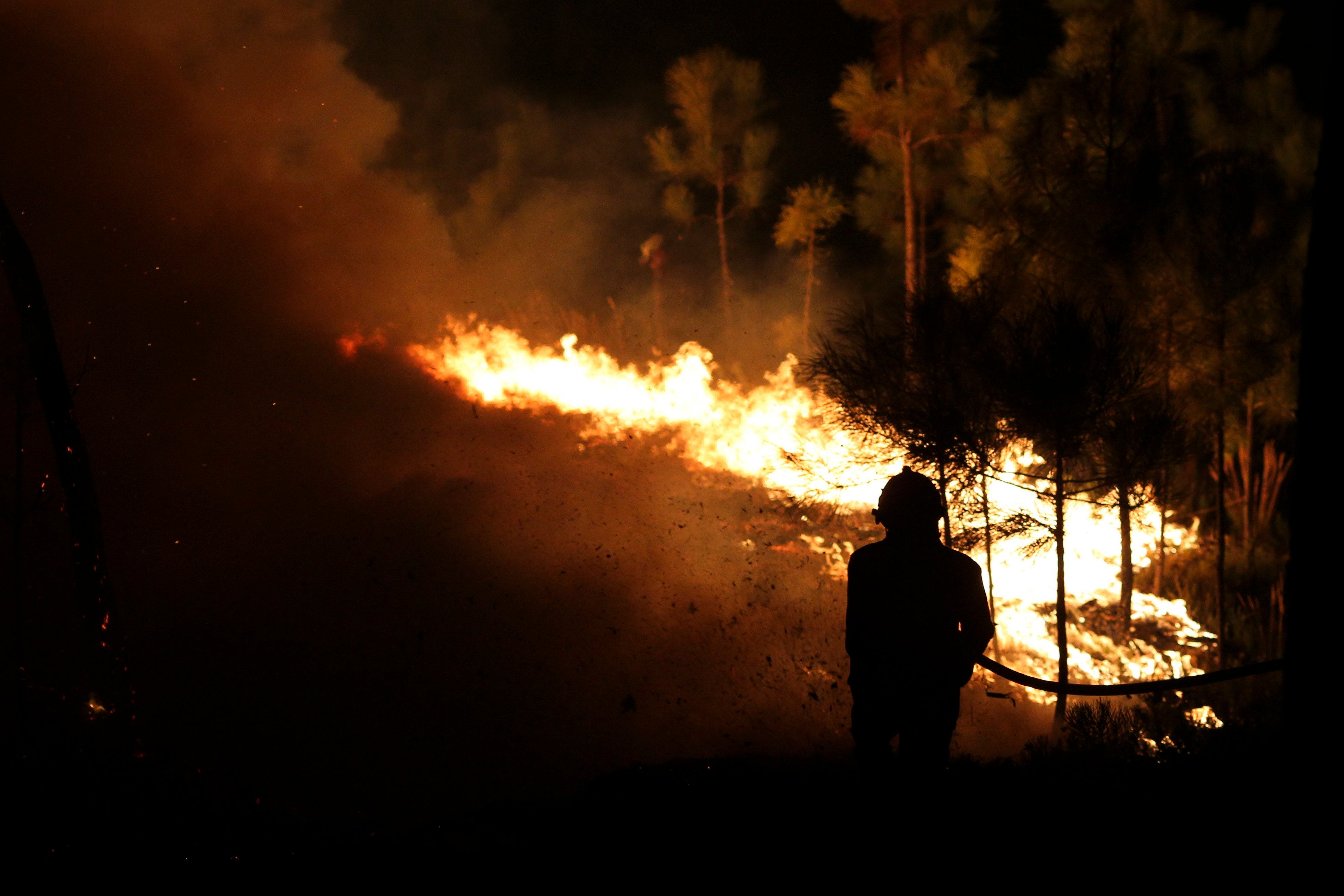Un total de 116 militares y 26 vehículos de la UME trabajan contra los incendios que asolan Portugal Un total de 116 militares y 26 vehículos de la UME trabajan contra los incendios que asolan Portugal
