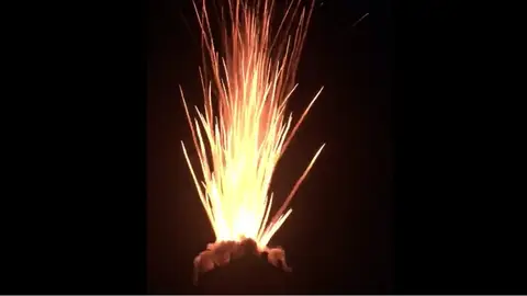 Momento del lanzamiento de la Palmera de la Virgen de la Nit de l'Albà de Elche Momento del lanzamiento de la Palmera de la Virgen de la Nit de l'Albà de Elche
