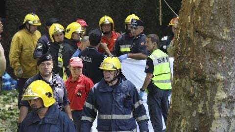 Al menos 11 muertos al caer un &aacute;rbol sobre la multitud en una fiesta religiosa en Madeira 