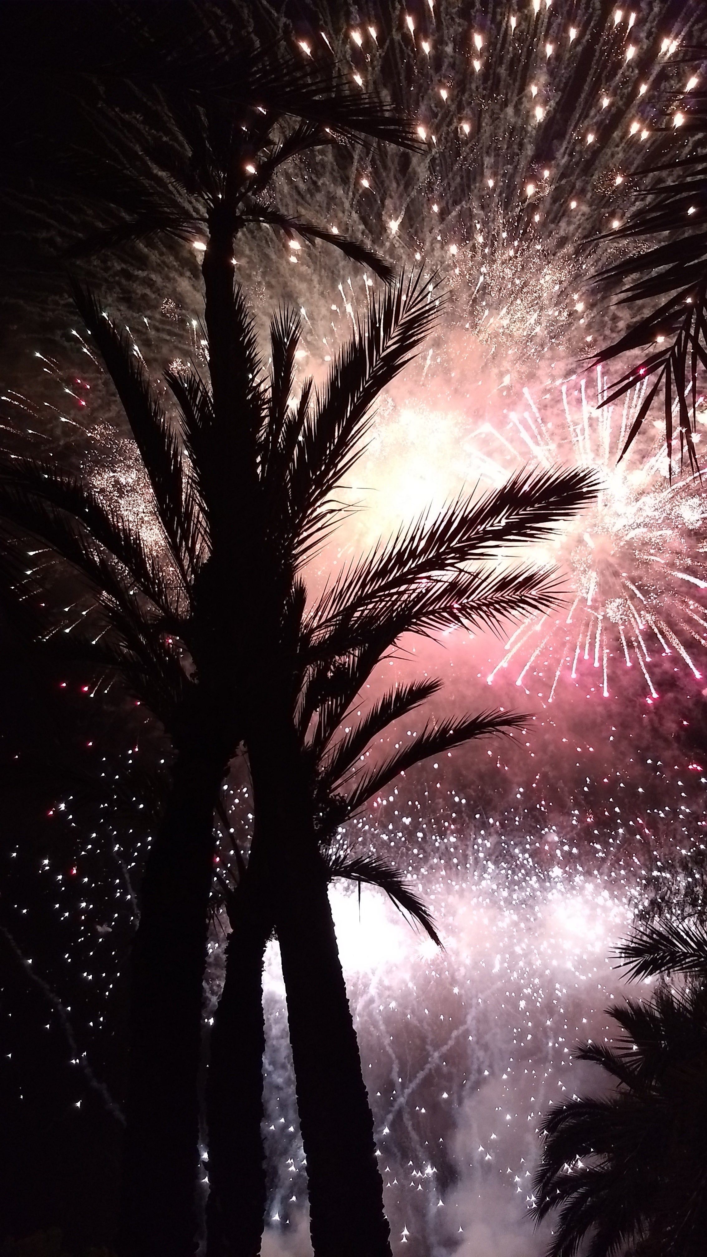 La cascada de fuegos artificiales lanzada desde el Puente del Ferrocarril pone el broche final a las fiestas de Elche La cascada de fuegos artificiales lanzada desde el Puente del Ferrocarril pone el broche final a las fiestas de Elche