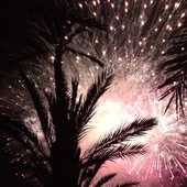 Fuegos artificiales Fuegos artificiales