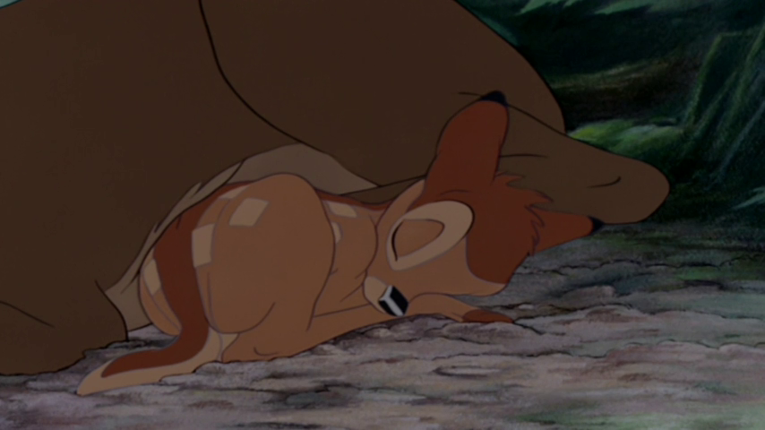 Condenan a un cazador furtivo a más de un año de cárcel y a ver Bambi una vez al mes Condenan a un cazador furtivo a más de un año de cárcel y a ver Bambi una vez al mes