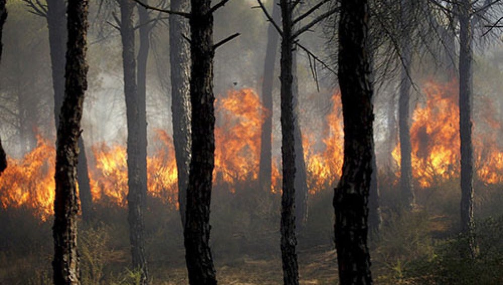 Incendio en Cartaya, Huelva