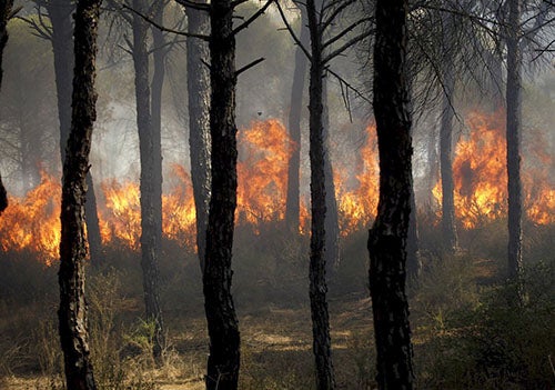 Las altas temperaturas previstas para este viernes aumentan el riesgo de incendio a 'muy alto' en casi toda España Las altas temperaturas previstas para este viernes aumentan el riesgo de incendio a 'muy alto' en casi toda España