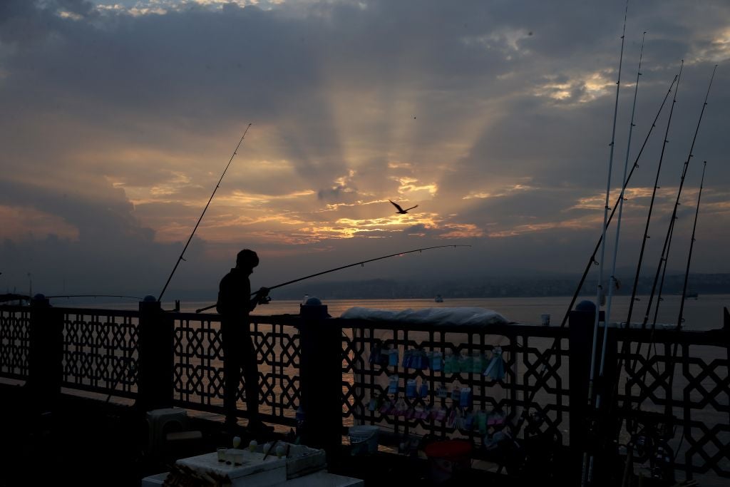 Minuto Económico: ¿Qué tienen que ver los banqueros con la pesca de truchas? Minuto Económico: ¿Qué tienen que ver los banqueros con la pesca de truchas?