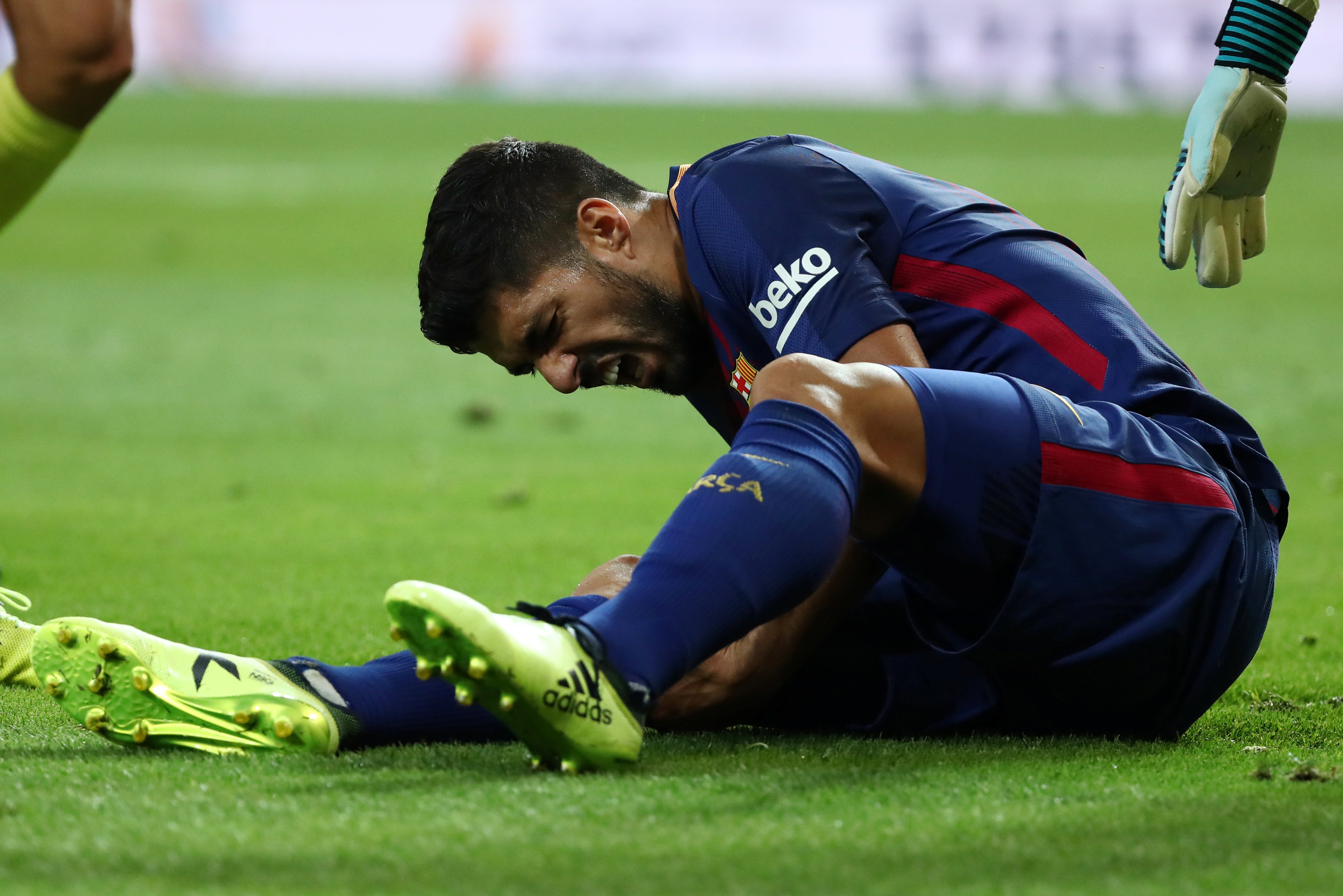 Luis Suárez estará un mes de baja tras lesionarse en la rodilla derecha Luis Suárez estará un mes de baja tras lesionarse en la rodilla derecha