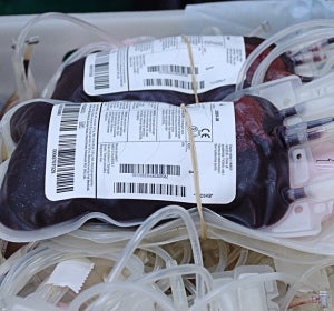 Donar sangre Donar sangre