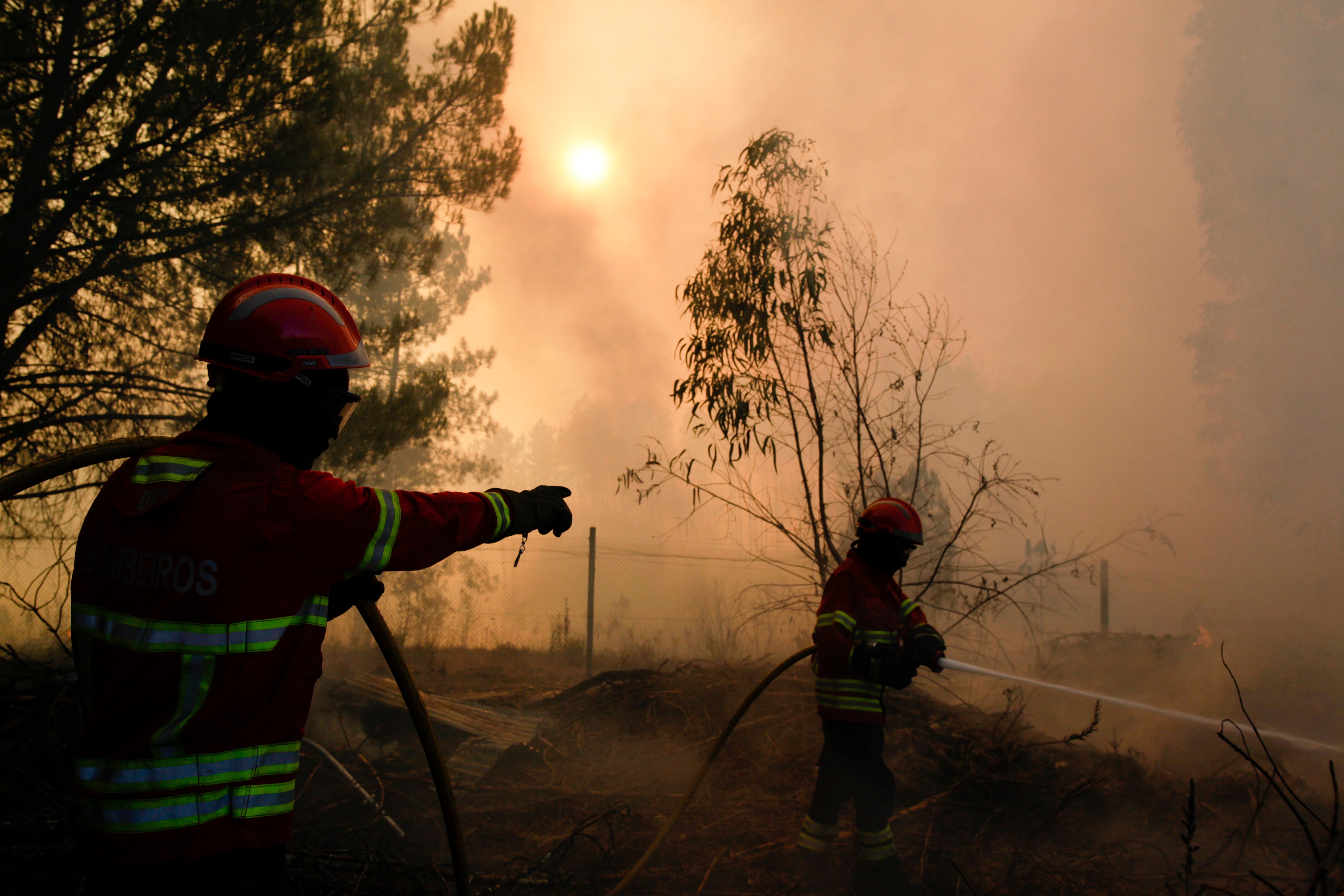 Muere un piloto de helicóptero que colaboraba en la extinción de los incendios en Portugal Muere un piloto de helicóptero que colaboraba en la extinción de los incendios en Portugal